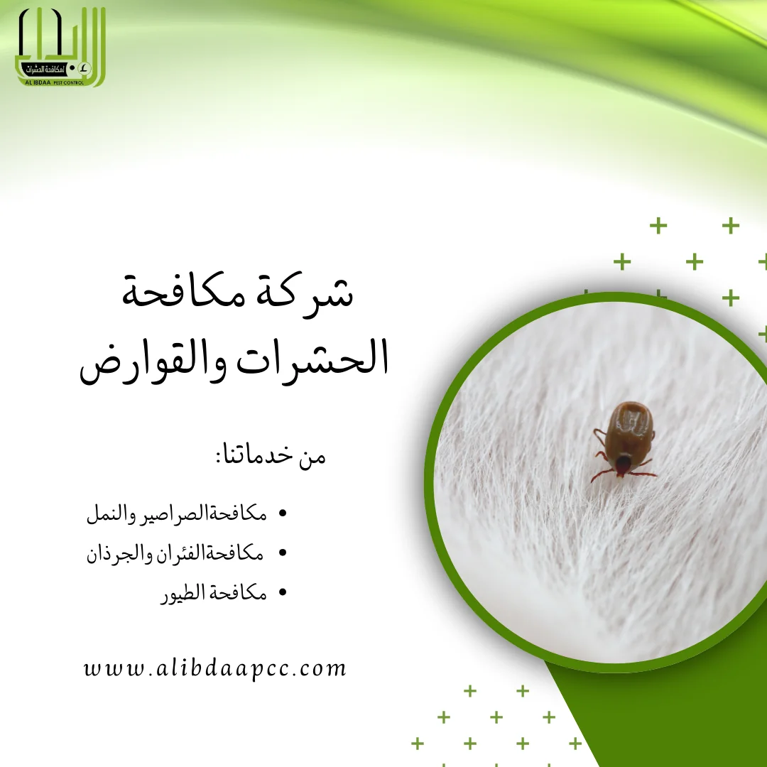 مكافحة البراغيث والحشرات الطائرة