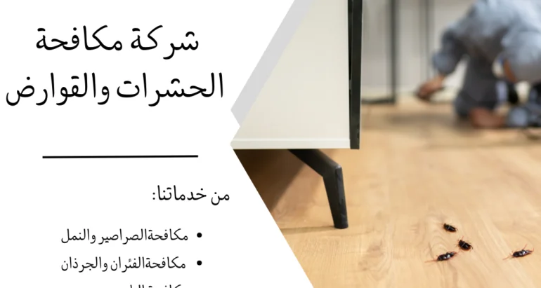 رش الحشرات في ابوظبي