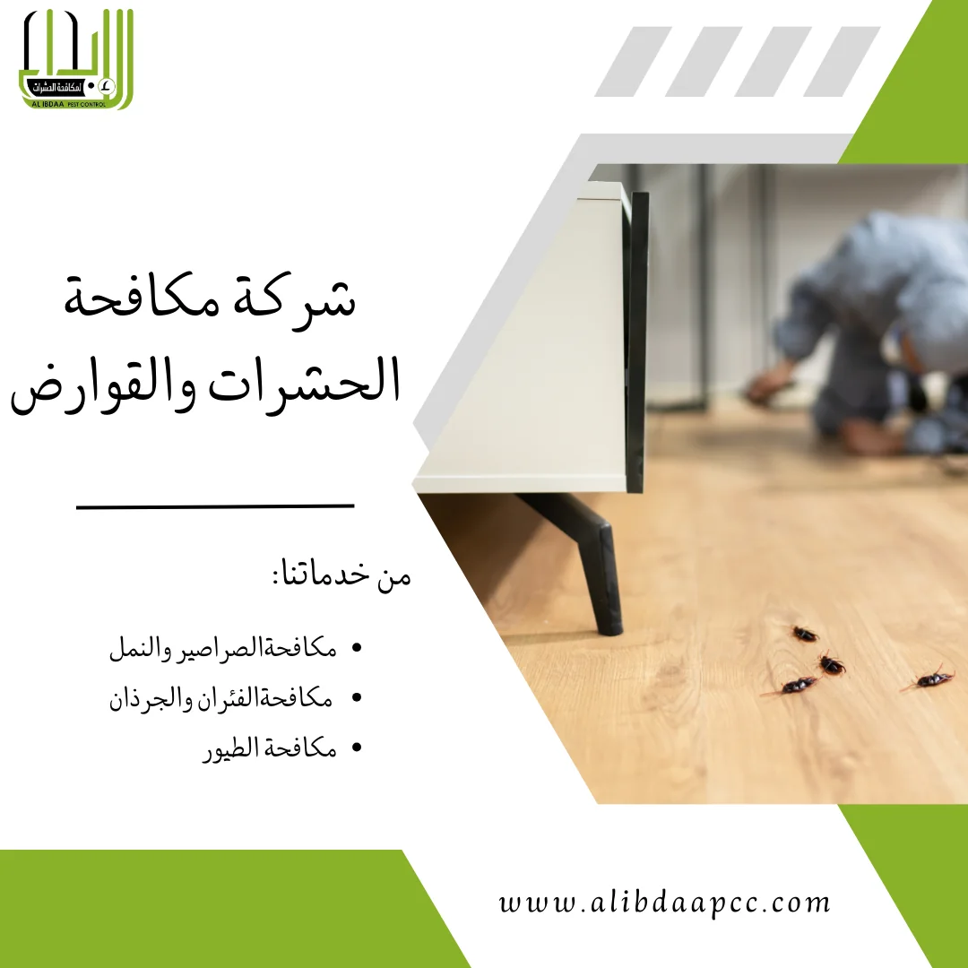 رش الحشرات في ابوظبي