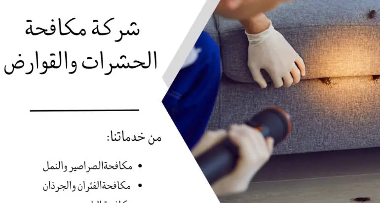 مخاطر الحشرات الصحية ودور المكافحة الوقائي