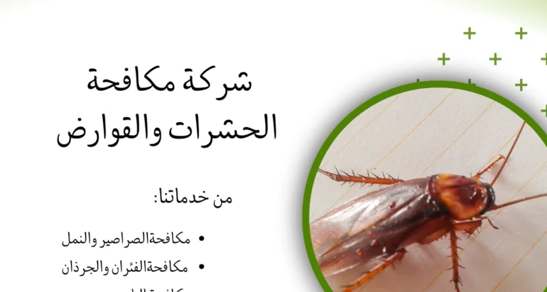 كيف تحمي منزلك من الصراصير؟