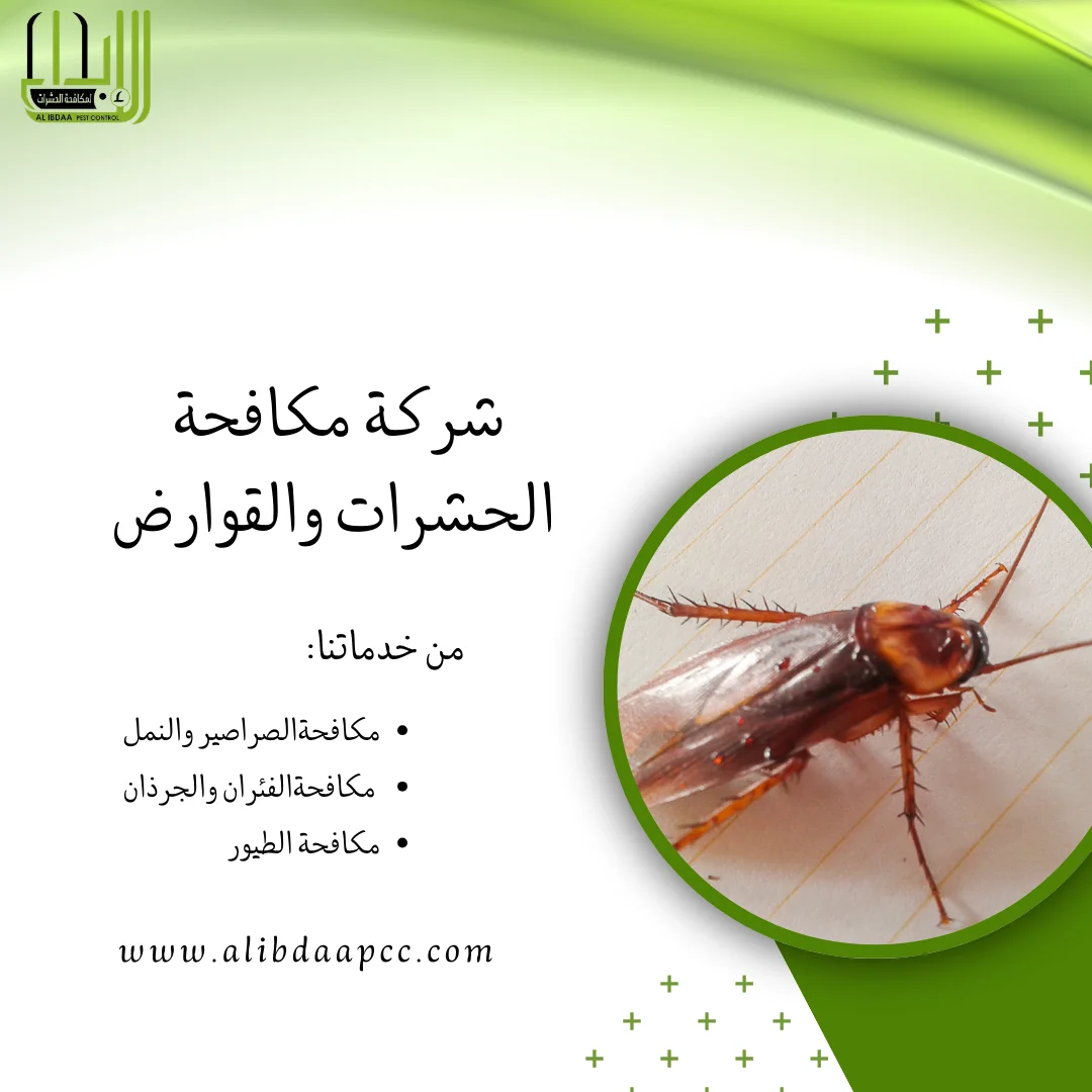 كيف تحمي منزلك من الصراصير؟