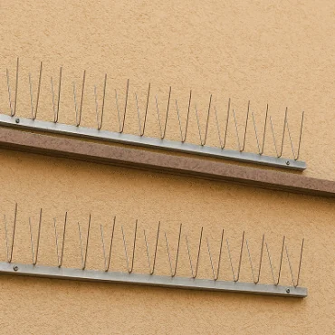 صيد الحمام في أبوظبي