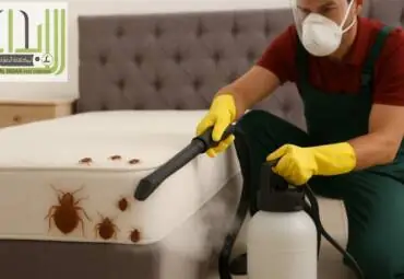 رش بق الفراش في أبوظبي
