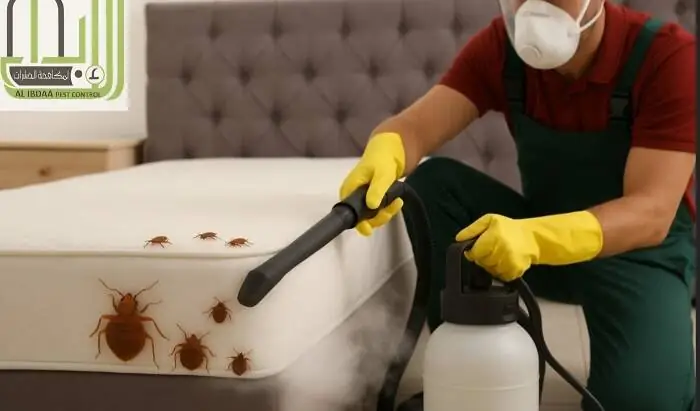 رش بق الفراش في أبوظبي