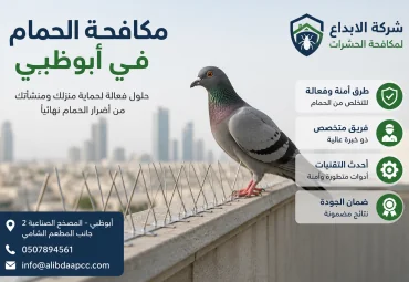 صيد الحمام في أبوظبي
