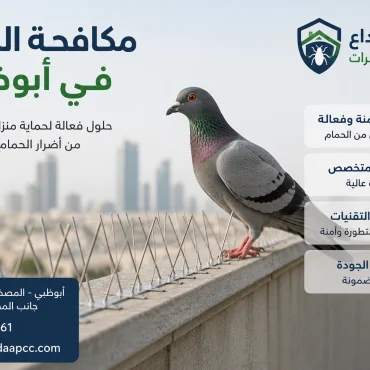 صيد الحمام في أبوظبي