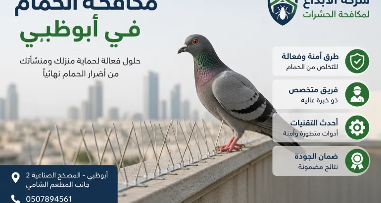 صيد الحمام في أبوظبي