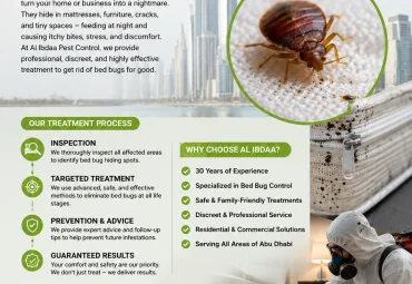 Professional Bed Bug Control Services | Al Ebdaa Pest Control – 30 Years of Experience