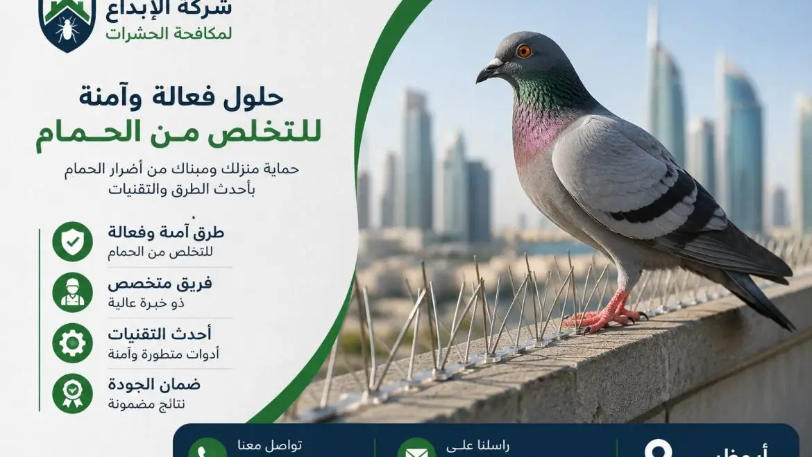 أفضل الطرق للتخلص من الحمام نهائيًا في ابوظبي