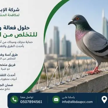صيد الحمام في أبوظبي