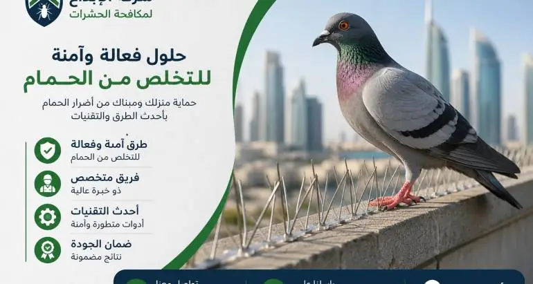 أفضل الطرق للتخلص من الحمام نهائيًا في ابوظبي