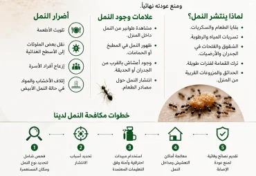 مكافحة النمل في أبوظبي | شركة الإبداع لمكافحة الحشرات بخبرة 30 سنة