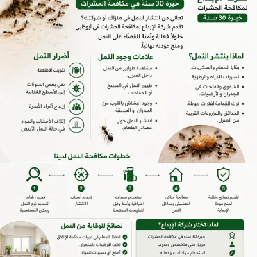 مكافحة النمل في أبوظبي | شركة الإبداع لمكافحة الحشرات بخبرة 30 سنة