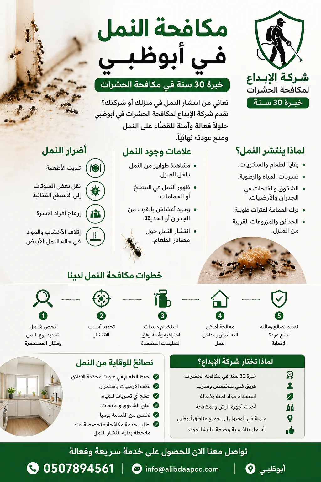 مكافحة النمل في أبوظبي | شركة الإبداع لمكافحة الحشرات بخبرة 30 سنة