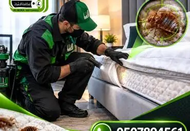 رش بق الفراش في أبوظبي